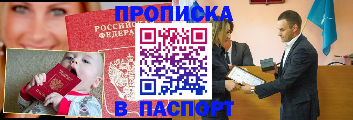 прописка поиск в Ельне