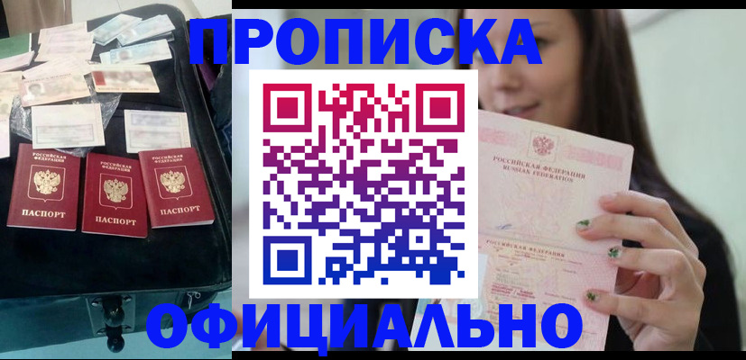 прописка законно в Ельне